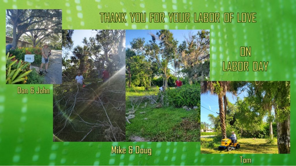 Pictures of Don, John, Mike & Doug chain sawing dead tree branches, and Tom mowing.