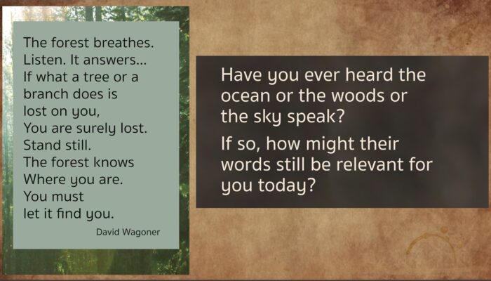 The forest breathes. Listen. It answers... If what a tree or a branch does is lost on you, You are surely lost. Stand still. The forest knows Where you are. You must let it find you. by David Wagoner Have you ever heard the ocean or the woods or the sky speak? If so, how might their words still be relevant for you today?